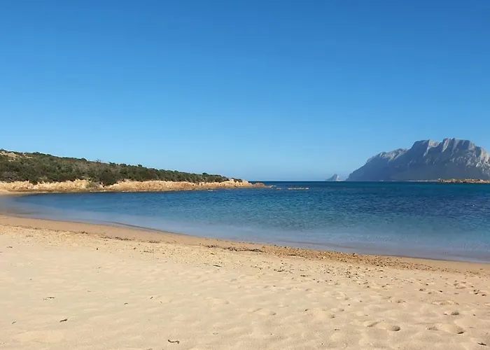 Апартаменты Tabula Ольбия